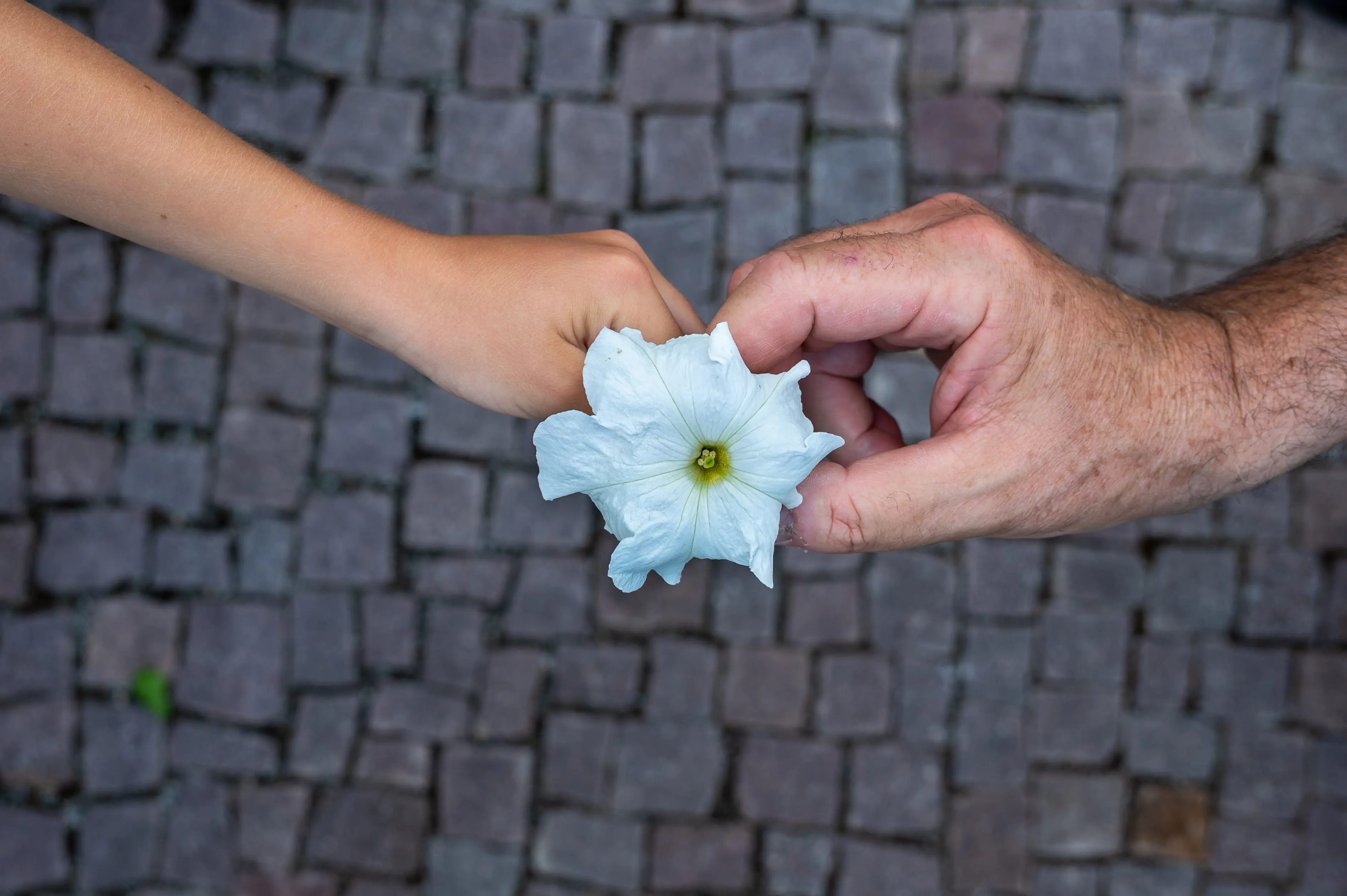 Wir brauchen Ihre Hilfe